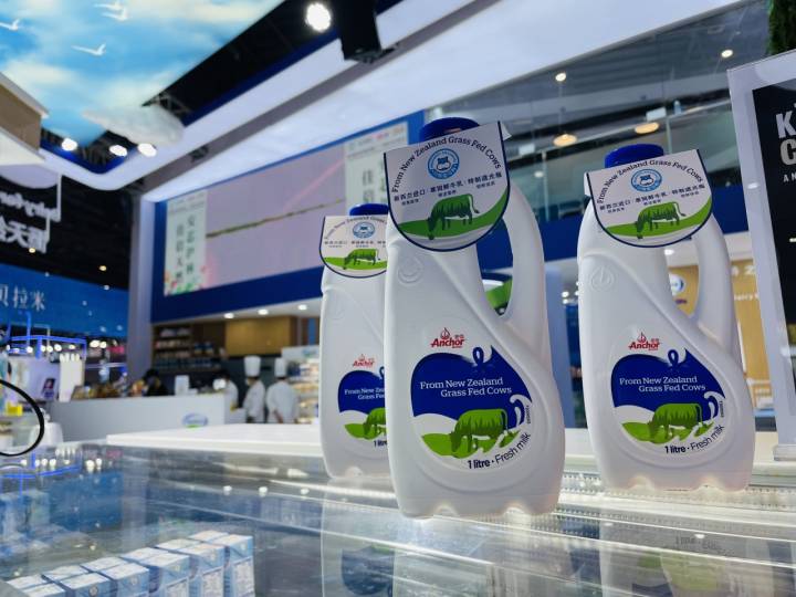 进博会新西兰网红牛奶,进博会冰鲜新西兰牛肉