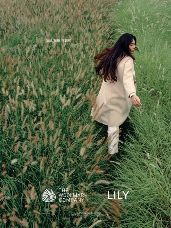 lily合作款,lily合作