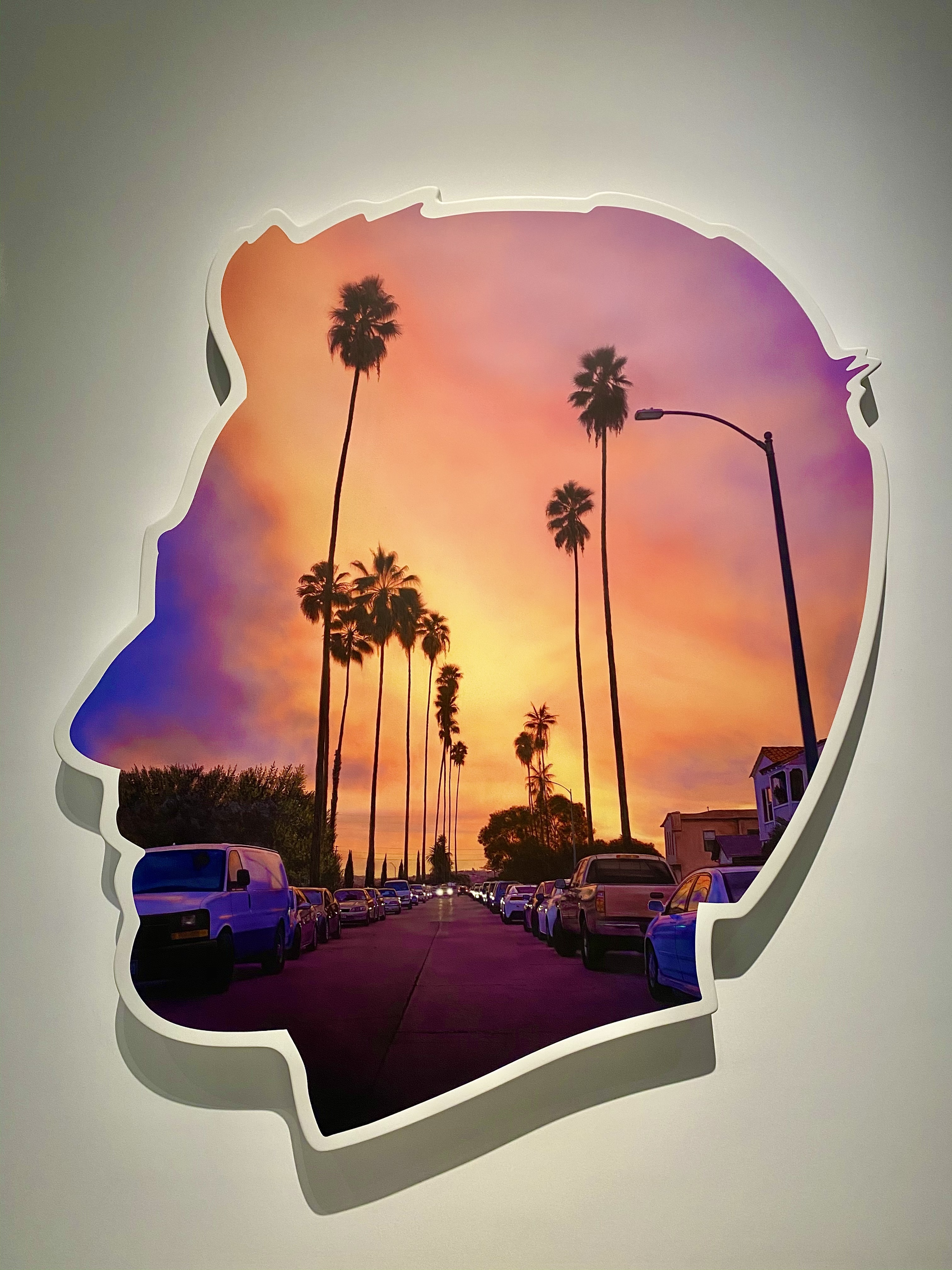 美国加州艺术展,加州三角梅和变色龙