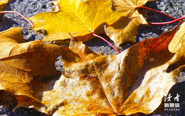 鼓励别人坚持下去的励志句子,激励自己坚持下去的经典句子