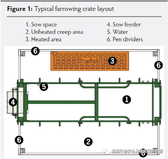 母猪产床上的保温灯是怎么固定的,仔猪产仔箱保温灯离仔猪多高为好