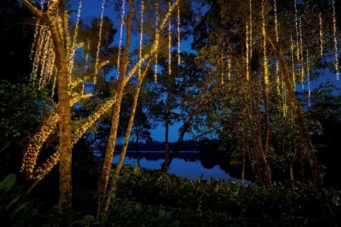 新加坡夜间动物园晚餐,新加坡夜间动物园附近美食