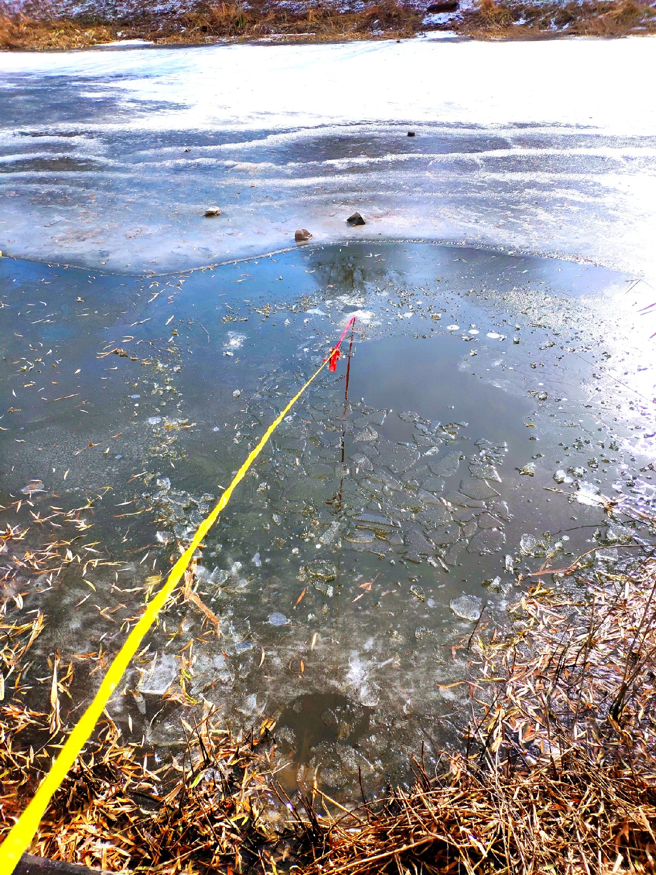 气温零下钓鲤鱼,寒冬钓鱼中鱼视频