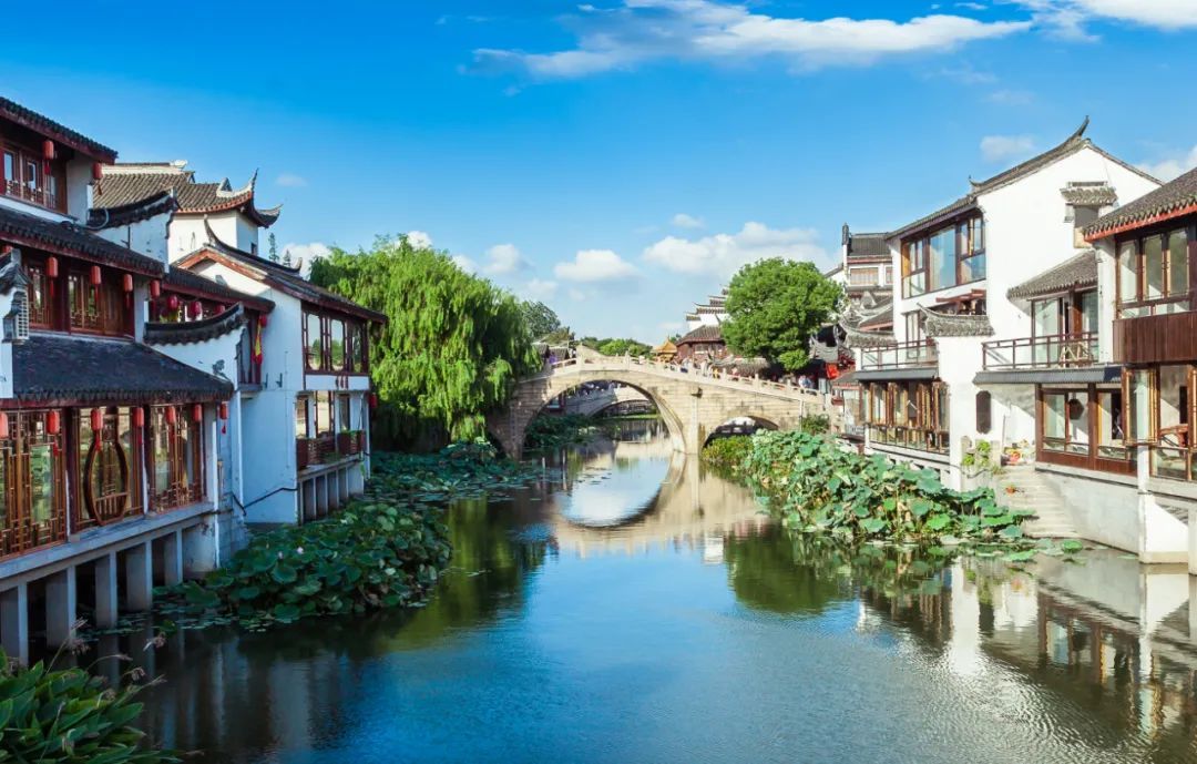 聚焦“一核一区一带”、规划新建10所学校……七宝，未来可期丨“一把手”话新图景