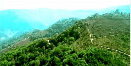 咖啡卖到500块,咖啡卖1800一杯