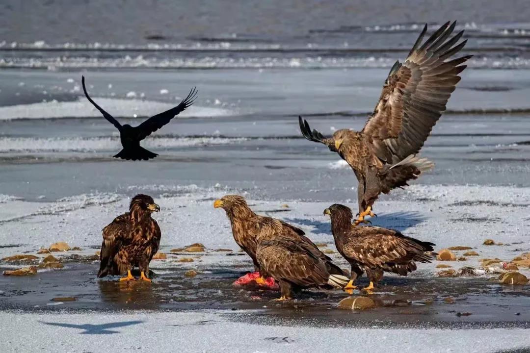 生态环境看哪里,生态看小米