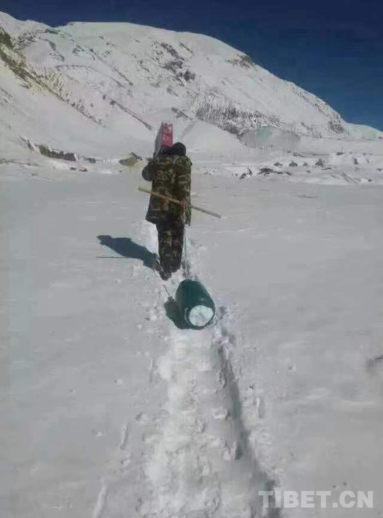 孔雀河畔的戍边者