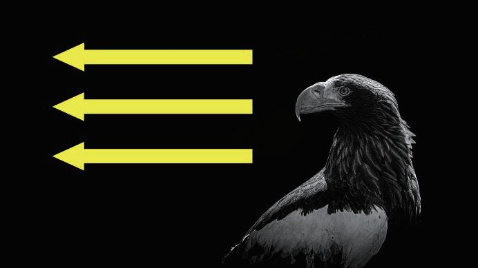 数学封面图设计,封面图怎么设计