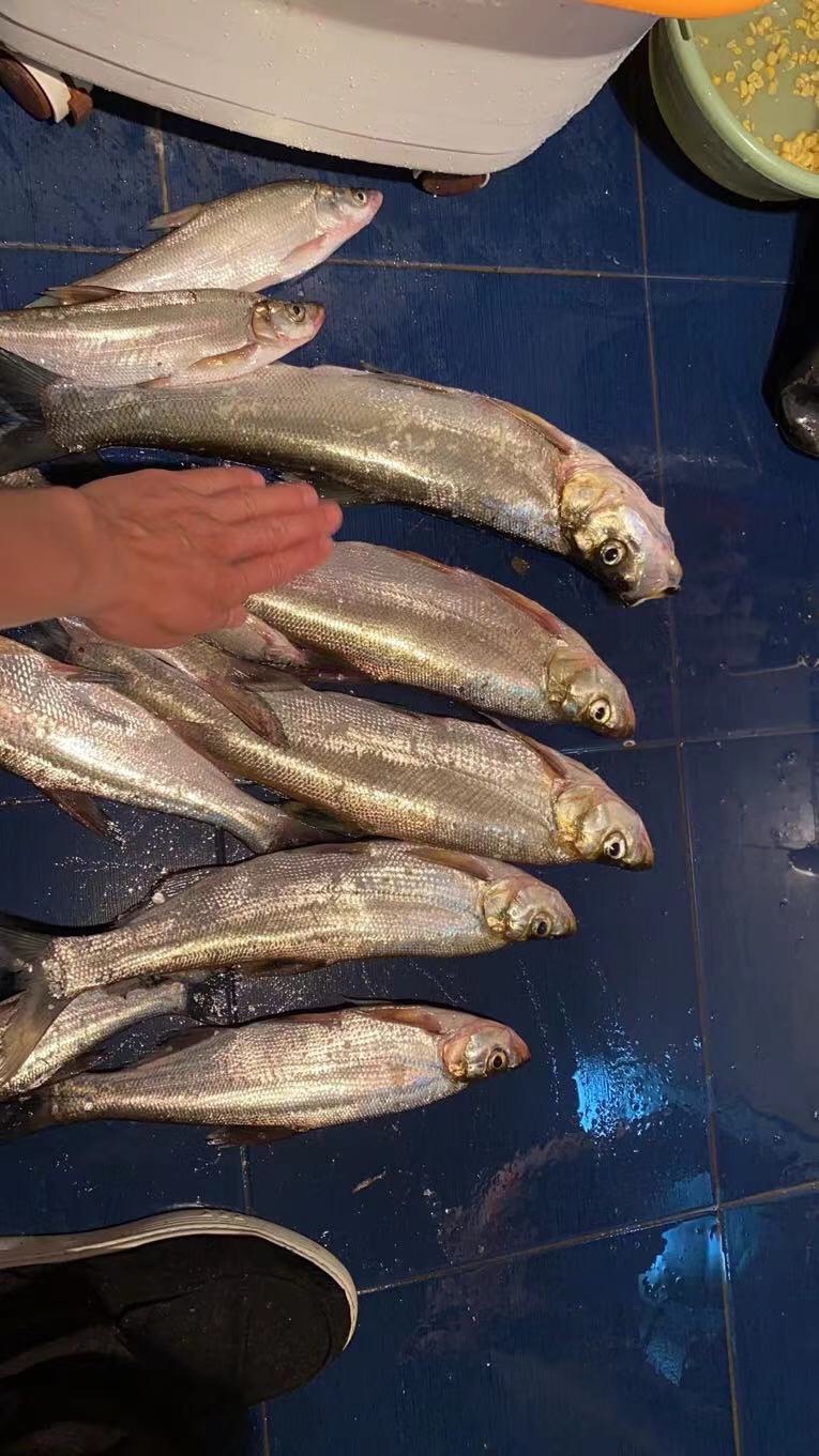 2021打龟爆护同在，未来渔你同行