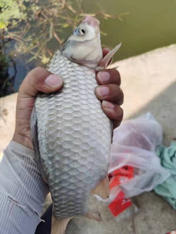 2021打龟爆护同在，未来渔你同行