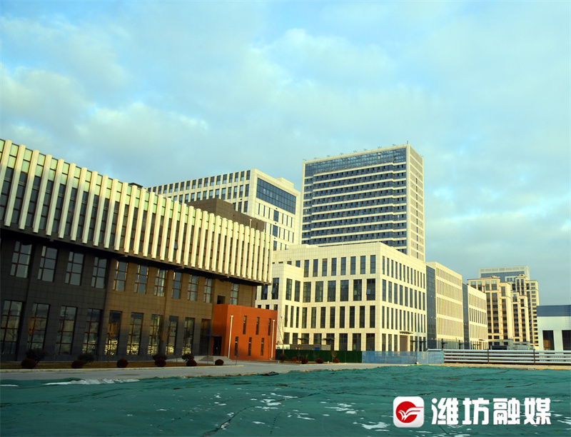 下好党建引领关键棋,下好先手棋打好主动仗抢抓新机遇