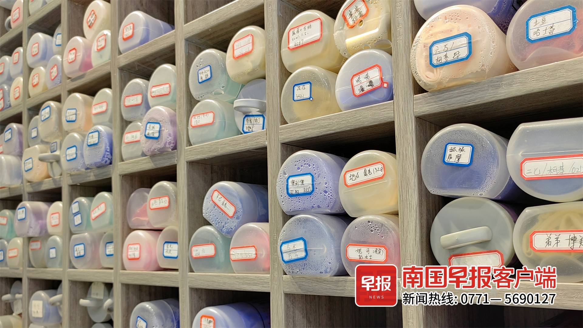 宠物店寄养一天10元南宁,南宁哪家猫咪寄养好