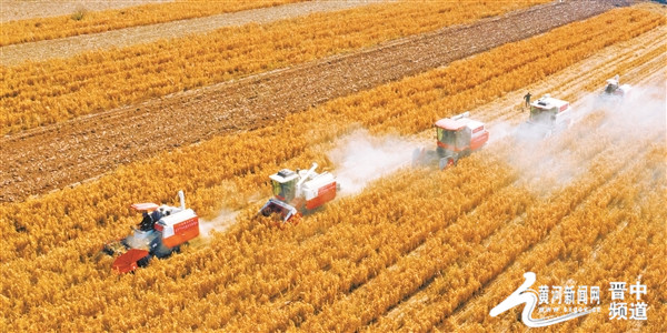 寿阳县今天的新闻,寿阳头条新闻最新消息