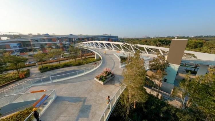 连城达海三位一体，春节期间开放，宝安新地标滨海廊桥抢先看