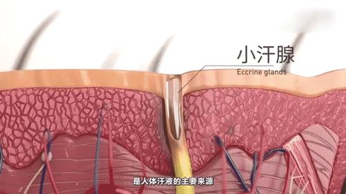 日本人吃饭脱鞋脚臭怎么办,日本人进门脱鞋脚臭么