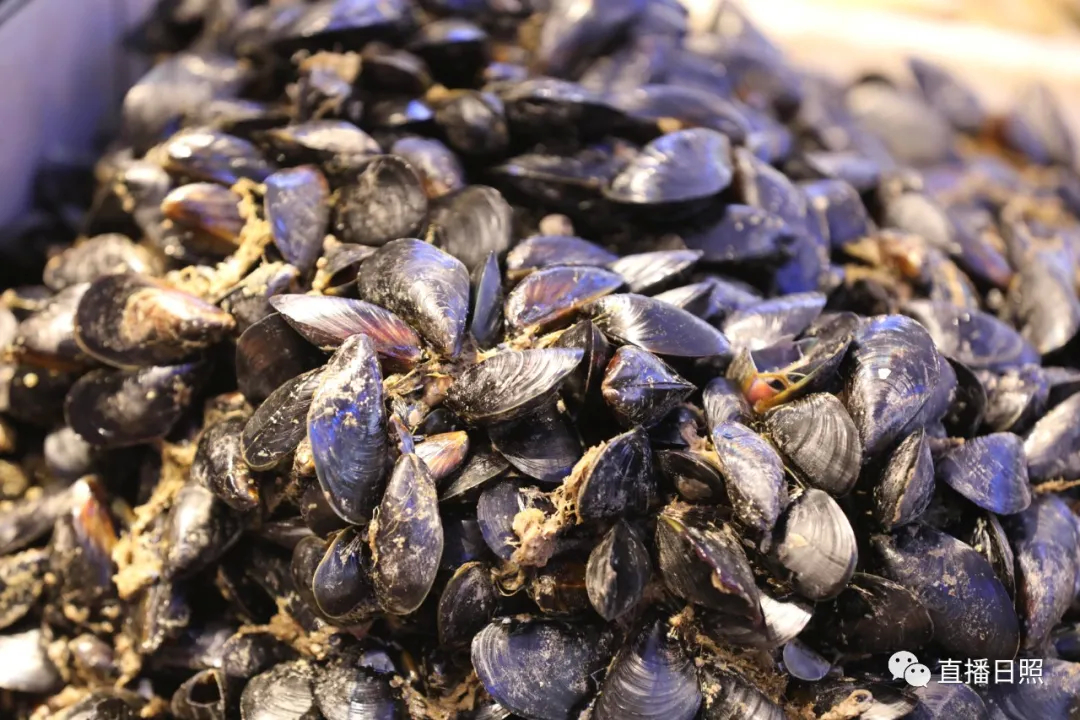 日照当季海鲜价格,今年春节海鲜多少钱一斤