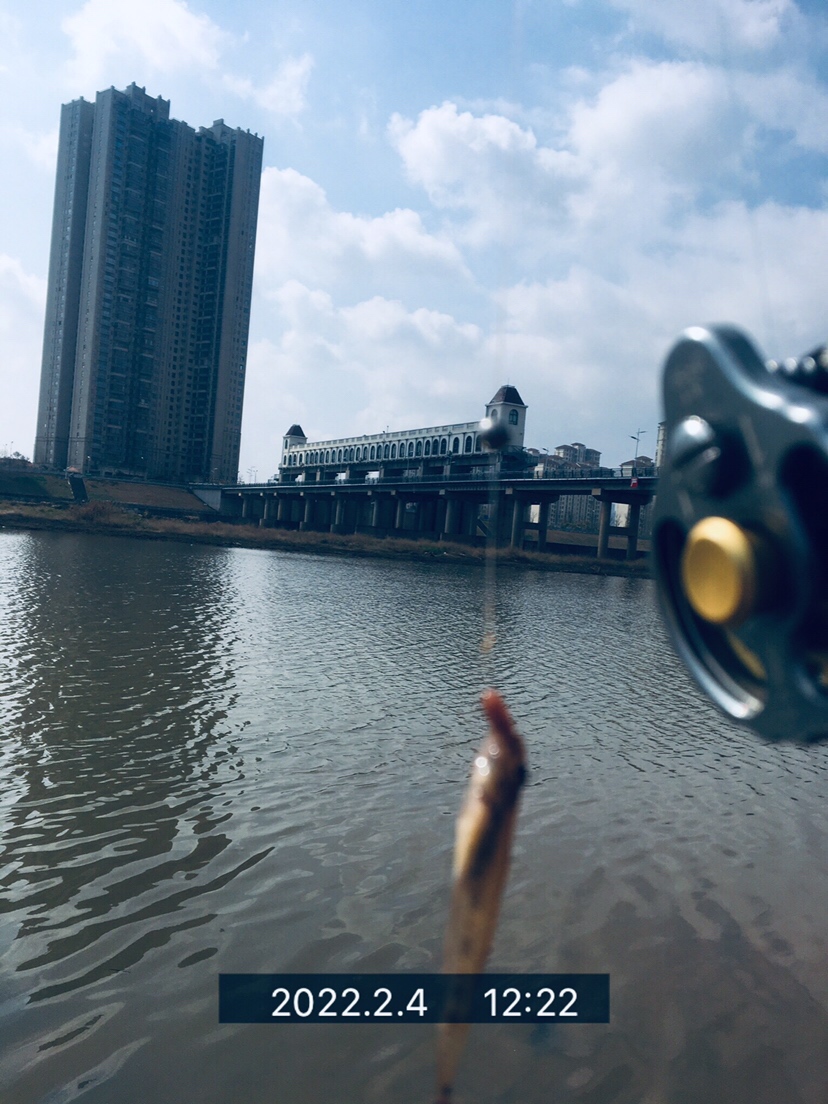 用老婆的菜篮子装新年的第一“金”