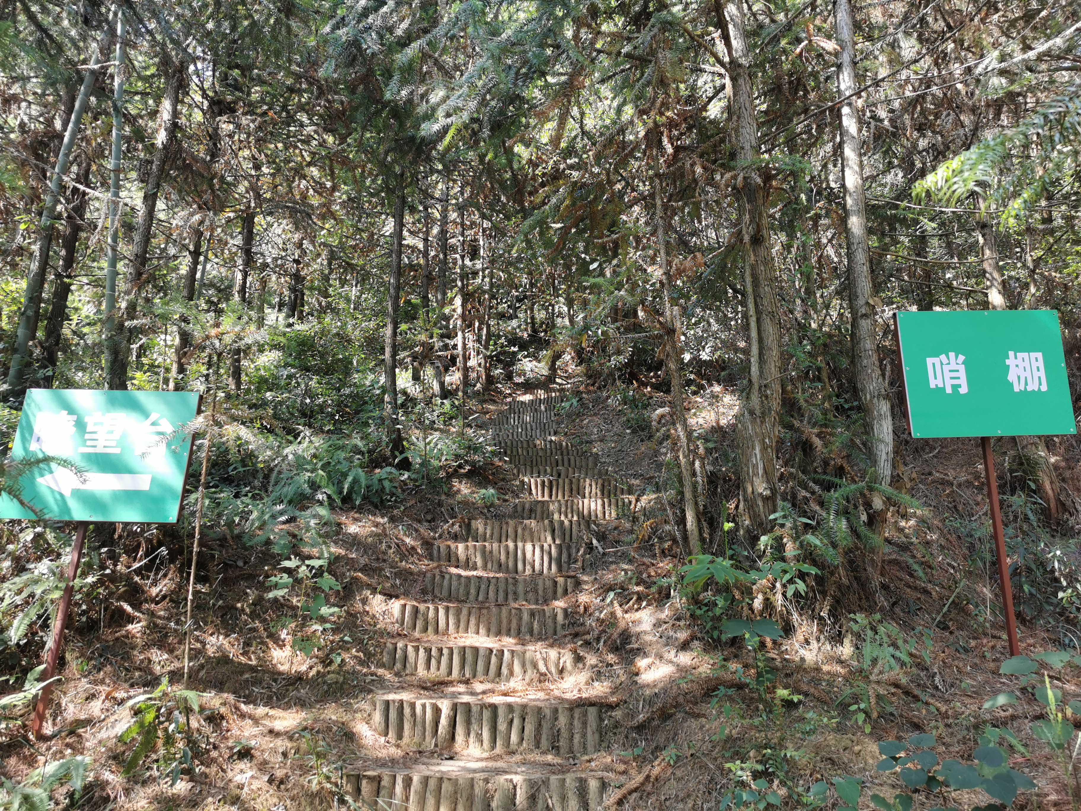 元帅与“周篮嫂”珍闻录