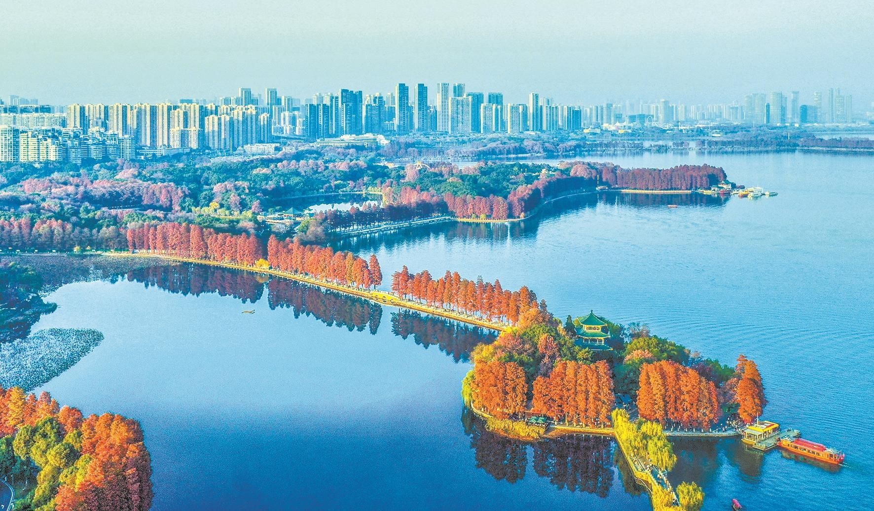 武汉市检测结果,武汉最新检查情况