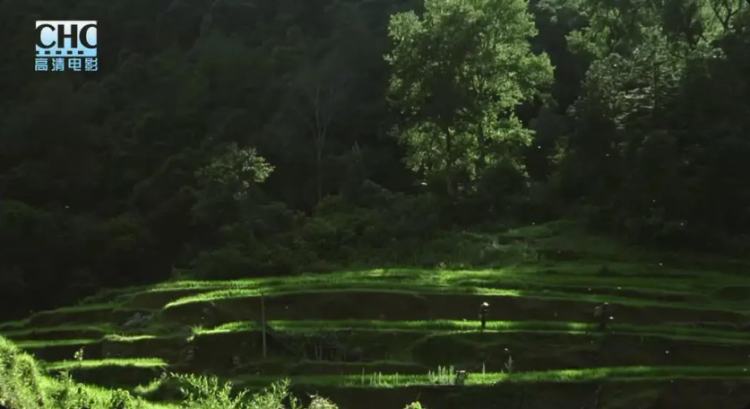 日本人看到刘烨的反应,日本人看刘烨