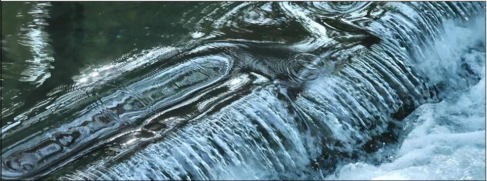 天下第一泉趵突泉高清图,天下第一泉趵突泉景观