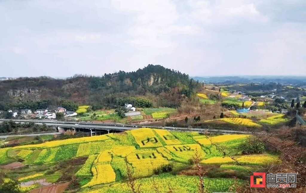 春游去哪？这份自贡“赏花地图”请收藏