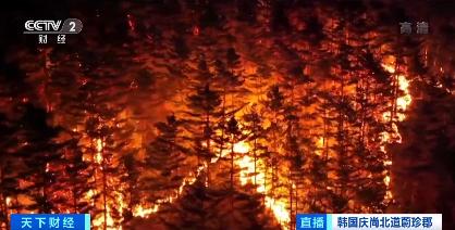 韩国山火是怎么回事,韩国森林火灾情况