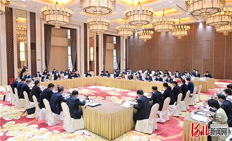 河北省代表团全体会议,河北代表团名单