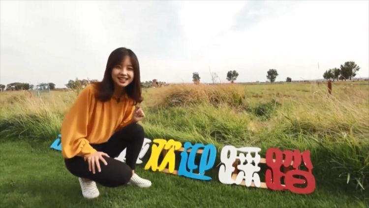 公园里踩不死的草坪是什么草,公园里的草坪真的不能踩吗