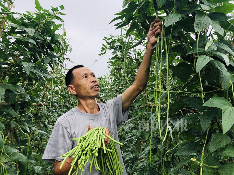 螺蛳粉配料包酸豆角,柳州螺蛳粉的配料和制作方法