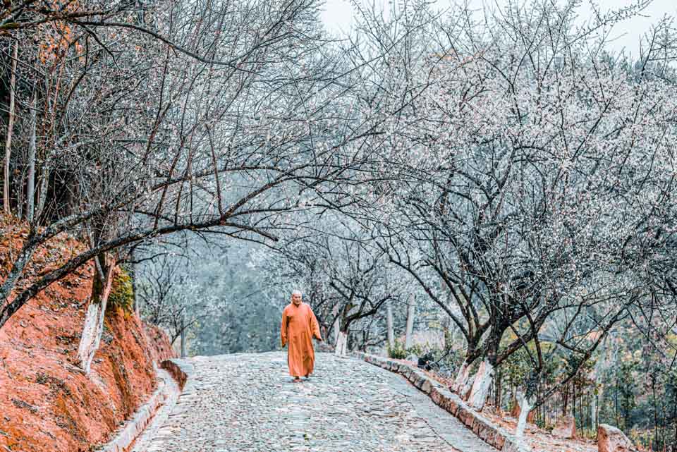 西行记札记,西行纪讲述的故事