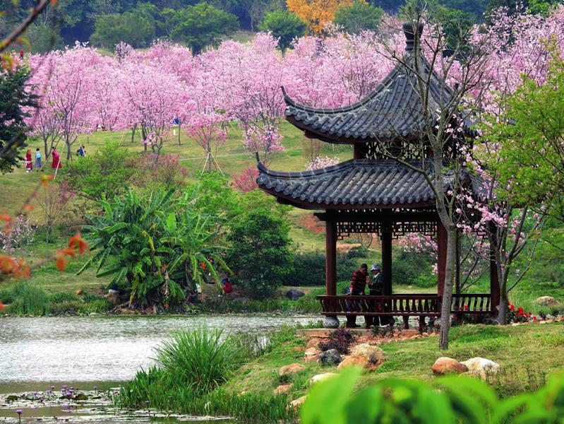 南宁摄影作品征集大赛,广西南宁摄影大赛