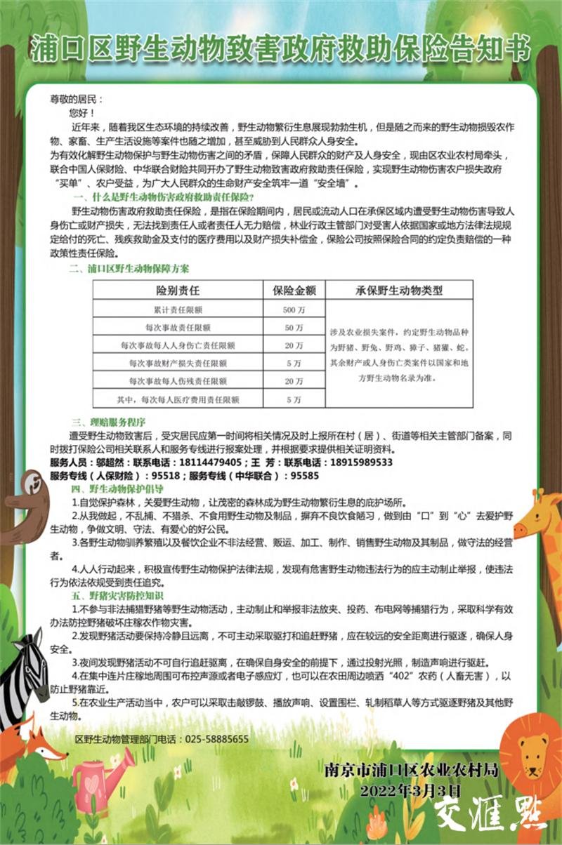 野猪遭害庄稼为何要保护呢,频繁出没的野猪对农作物造成损失