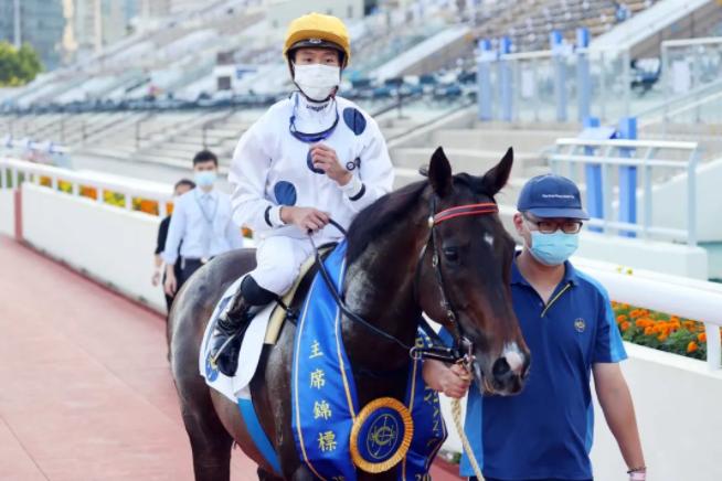 世界名贵马匹排行榜前十名,世界最高评分赛马马匹排名