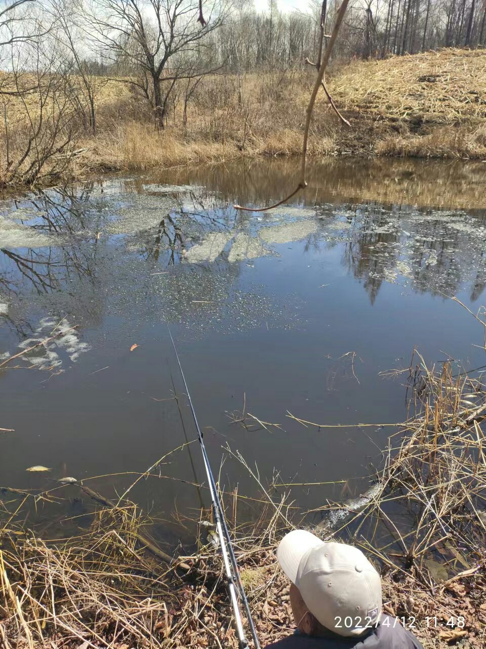 赶个晚潮流完整版,普通野钓罗非超细尾浮漂推荐