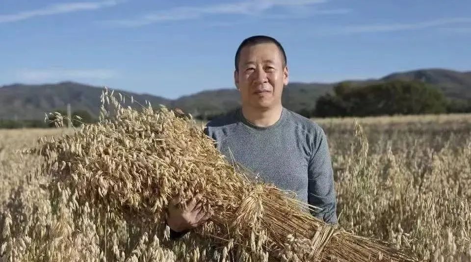 卢文兵用投资者思维创业,卢文兵创业经历