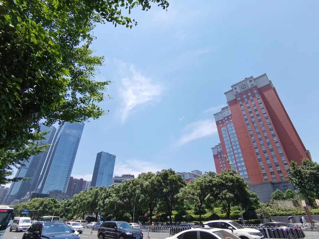 大城最新楼盘,大城即将开发的小区