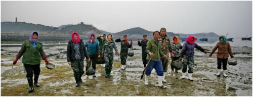 长海县旅游攻略海滩,长海县海岛赶海地点推荐