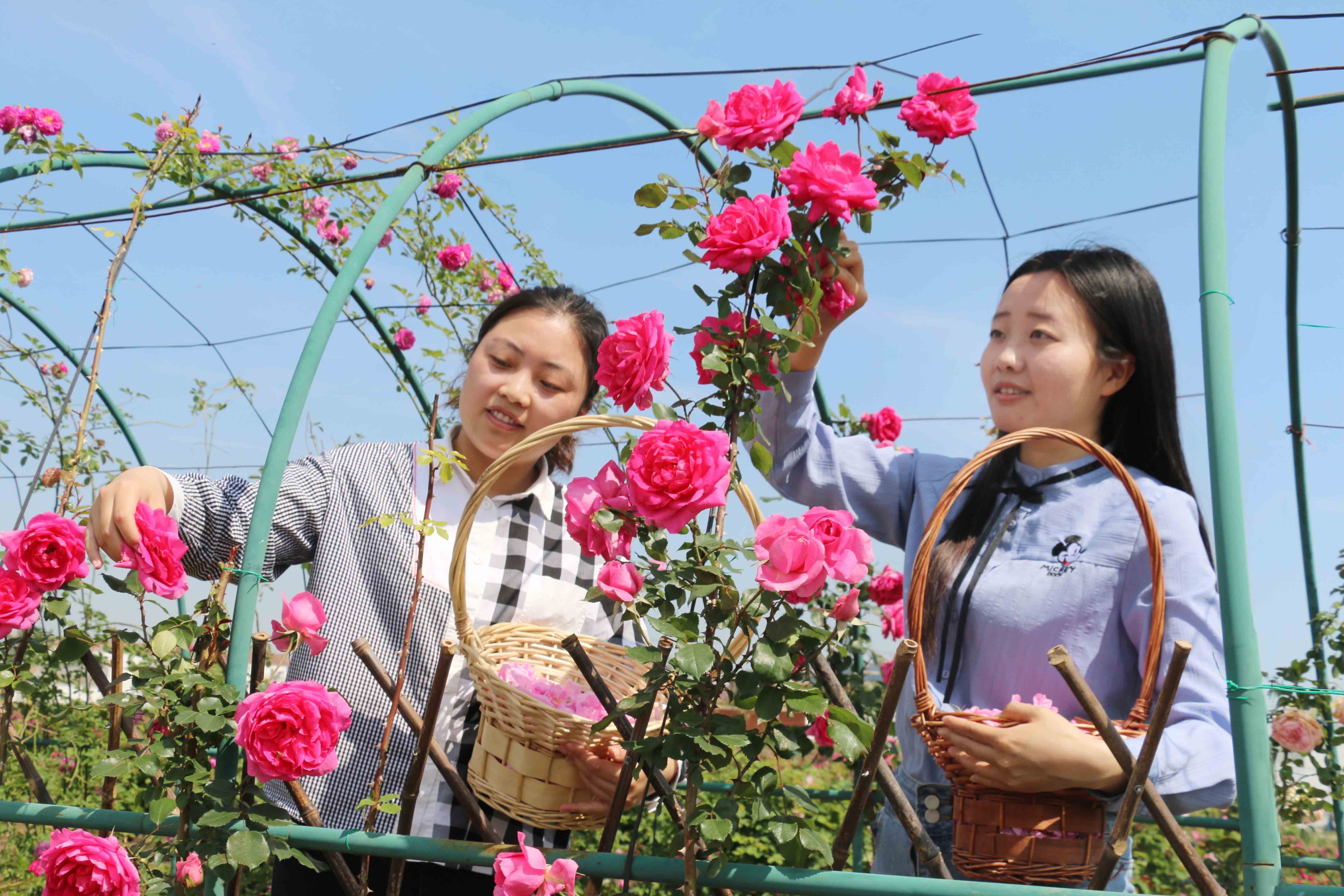 连云港促进乡村文旅振兴,2021连云港高质量发展