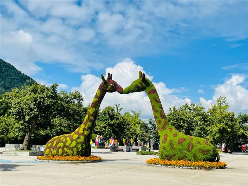 秦岭野生动物园什么时候抖音直播,西安秦岭动物园免费预约入口官网