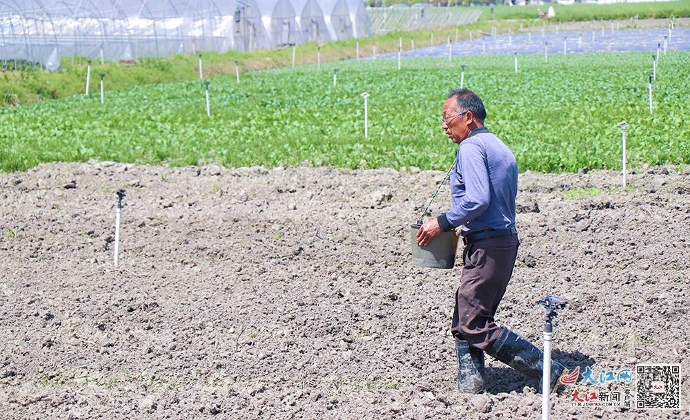 综合产值5.1亿元探寻江西芦溪“富硒”富民密码