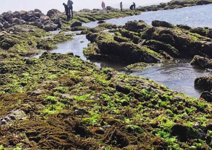 五一旅游最美的时光,五一出游天下最美的风景