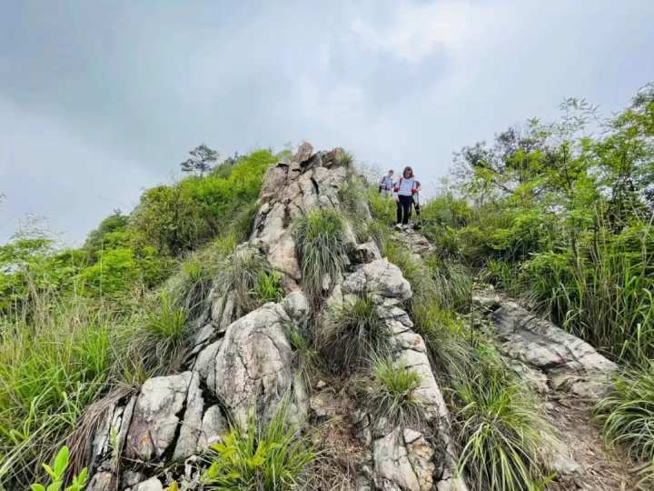 天终于晴了！网红路牌、最美山脊线……这五条小长假登山线，速度收藏走起