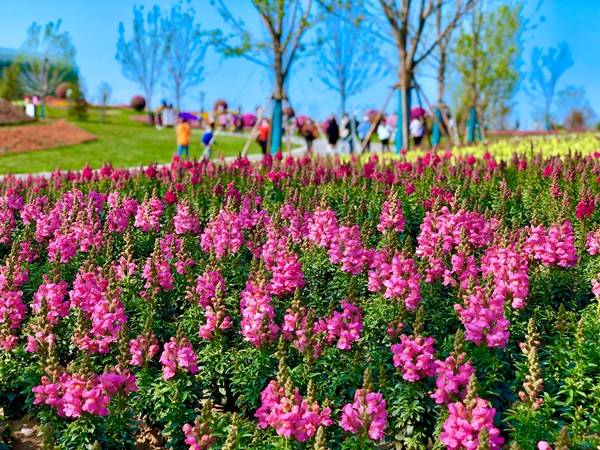 来牟文化小镇大地花园订票,来牟文化小镇现状