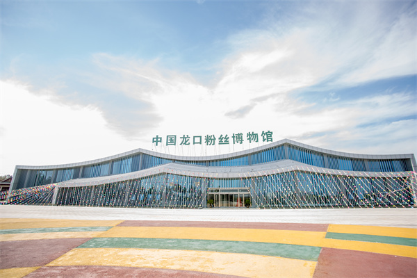 正宗龙口粉丝原料,龙口银丝粉条