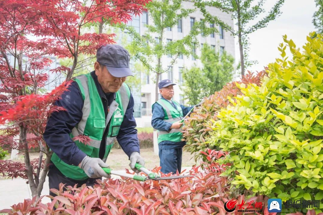 山东工业技师学院校园,山东工业技师学院奎文校区