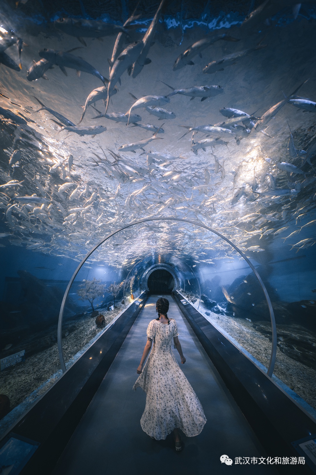 武汉必玩攻略,武汉必玩的地方排行榜