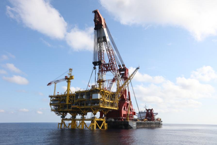 中海油真假,中海油最新违法消息