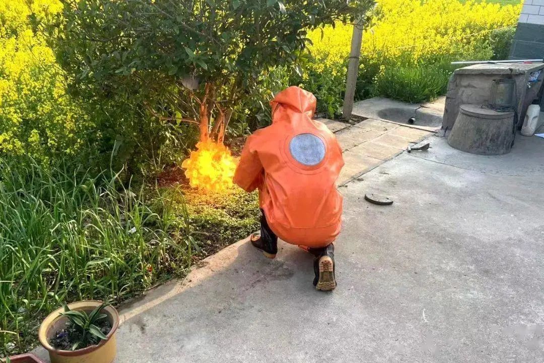 马蜂窝最佳驱蜂方法,马蜂窝的正确驱蜂方法