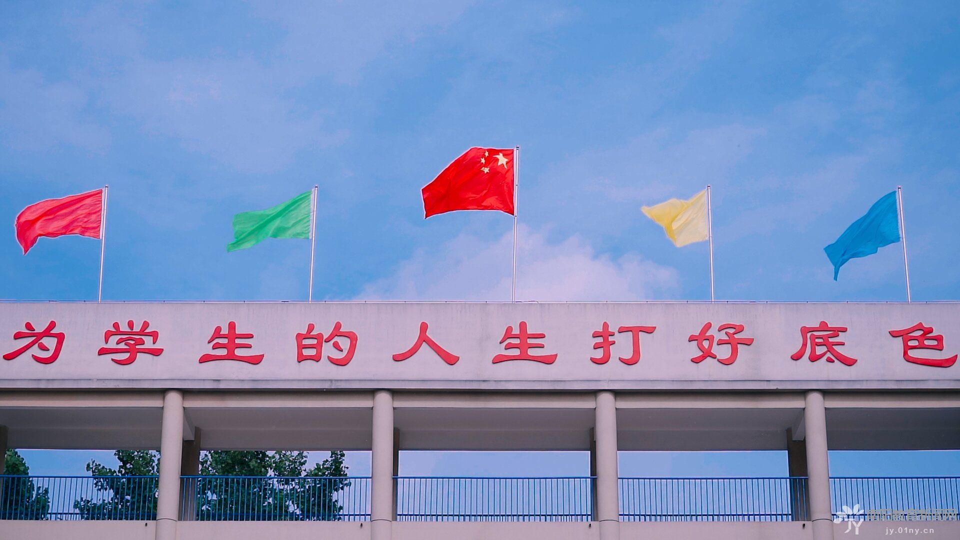 河南南阳市第三十三小学教研活动,南阳第三十三小学怎么样